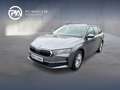 Skoda Octavia Selection TDI DSG Grau - thumbnail 1