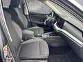 Skoda Octavia Selection TDI DSG Grau - thumbnail 23