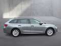 Skoda Octavia Selection TDI DSG Grau - thumbnail 5