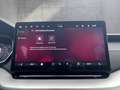 Skoda Octavia Selection TDI DSG Grau - thumbnail 19