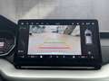 Skoda Octavia Selection TDI DSG Grau - thumbnail 17