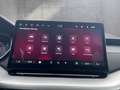 Skoda Octavia Selection TDI DSG Grau - thumbnail 18