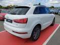 Audi Q3 2.0 TDI 120 ch Midnight Series Blanc - thumbnail 3