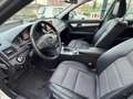 Mercedes-Benz C 250 C 250 T CDI  BlueEfficiency Avantgarde 146tkm Gris - thumbnail 6