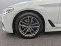 BMW 540 i x M Sport*ADAPT.LED*AHK*SHD*HIFI*AMBIENTE* bijela - thumbnail 5
