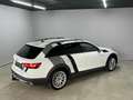 Audi A4 allroad 40 TDI S-tronic ***AHK-schwenkbar*** Weiß - thumbnail 15