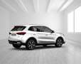 MG ZS 1.5 Hybrid+ 145 kW Luxury AT Luxury+Navi+SHZ+Ka... Weiß - thumbnail 16