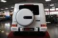 Mercedes-Benz G 500 AMG Line 1.HAND STHZG 360° MASSAGE CARBON Blanco - thumbnail 7