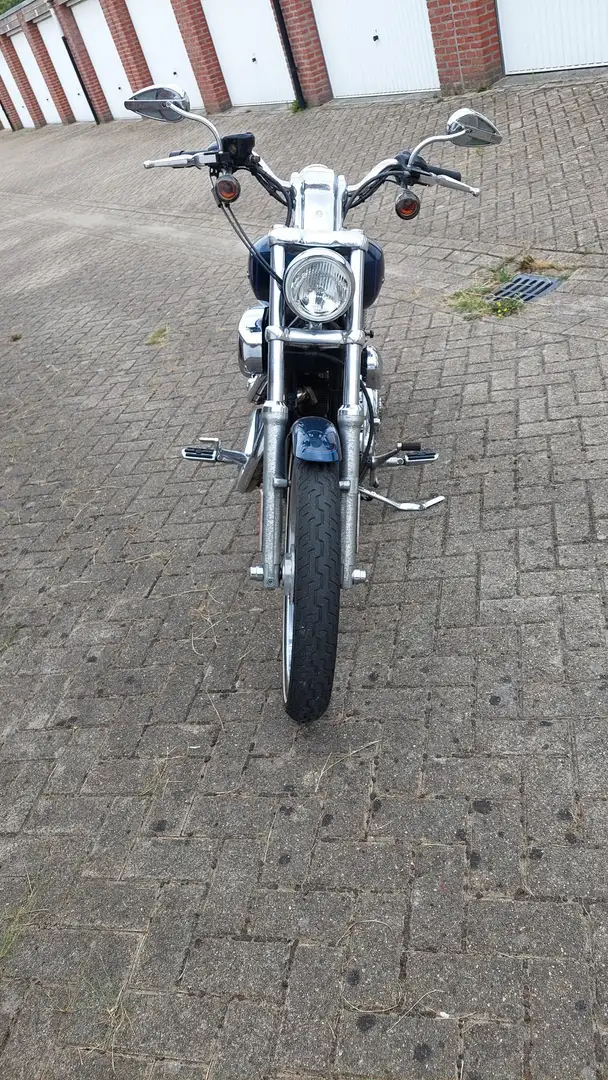 Harley-Davidson XL 1200 Sportster XL1200C Bleu - 2