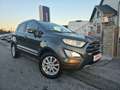 Ford EcoSport Titanium Grau - thumbnail 2
