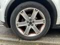 Land Rover Range Rover Evoque 2.2 TD4 TURBO DYNAMIC Blanc - thumbnail 10