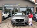 Jaguar XE XE 2.0 D 180 CV AWD aut. Prestige Gris - thumbnail 2