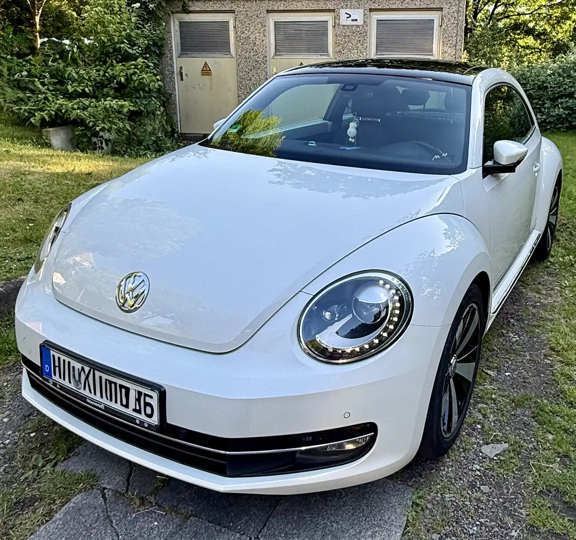 Volkswagen Käfer - 2