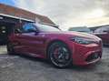 Alfa Romeo Giulia 2.9 Bi-Turbo Quadrifoglio | | CARBON PACK | SPARCO Rood - thumbnail 3