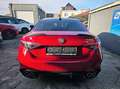 Alfa Romeo Giulia 2.9 Bi-Turbo Quadrifoglio | | CARBON PACK | SPARCO Rood - thumbnail 5