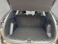 Ford Kuga 2.5 Duratec PHEV ST-LINE Grau - thumbnail 5