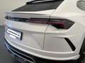Lamborghini Urus Full Opt –Tagliando12/2025 IVA esp-leasing Bianco - thumbnail 3
