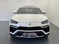 Lamborghini Urus Full Opt -Tagliando12/2025 IVA esp- Leasing Dispon Blanc - thumbnail 1