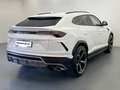 Lamborghini Urus Full Opt –Tagliando12/2025 IVA esp-leasing Bianco - thumbnail 6