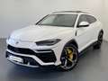 Lamborghini Urus Full Opt –Tagliando12/2025 IVA esp-leasing Bianco - thumbnail 1
