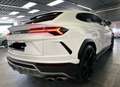 Lamborghini Urus Full Optional – Tagliando 12/2025 – IVA espost - thumbnail 5
