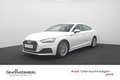 Audi A5 Sportback 35 TDI . Navi Einparkhilfe SHZ Blanc - thumbnail 1