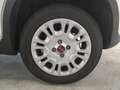 Fiat New Panda Blanc - thumbnail 21