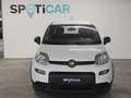 Fiat New Panda Blanc - thumbnail 2