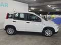 Fiat New Panda Blanc - thumbnail 4