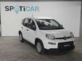 Fiat New Panda Blanc - thumbnail 3