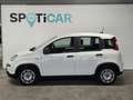 Fiat New Panda Blanc - thumbnail 6
