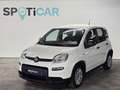 Fiat New Panda Blanc - thumbnail 1