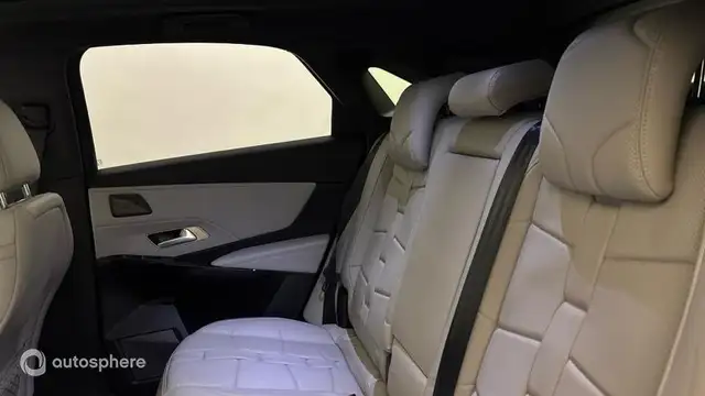 DS Automobiles DS 7 view 13