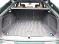 Audi Q8 e-tron Sportback S-LINE 55 QUATTRO 408 PK Verde - thumbnail 21