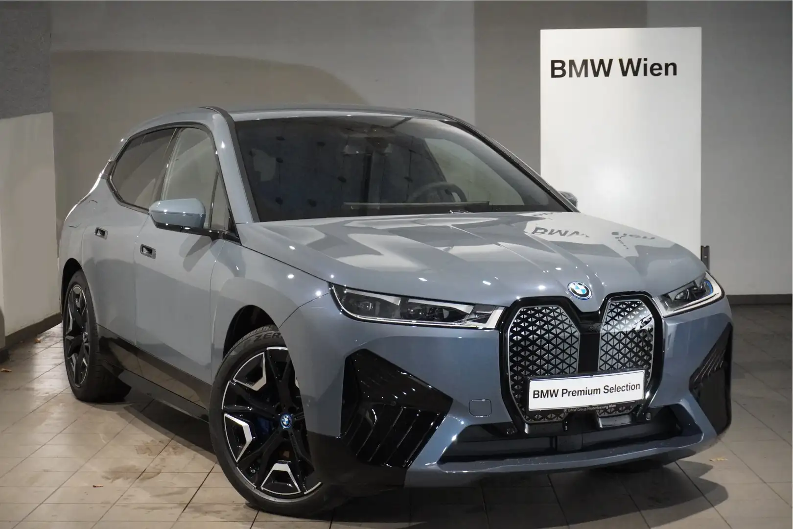 BMW iX xDrive50 Grau - 1