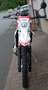 Beta RR 50 RR 50 Enduro Sport Blanco - thumbnail 2