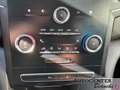 Renault Megane Megane 1.5 blue dci Business 95cv my19 Zwart - thumbnail 14