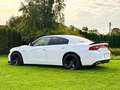 Dodge Charger SXT 3.6 V6 Blanco - thumbnail 7