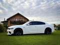 Dodge Charger SXT 3.6 V6 Blanco - thumbnail 3