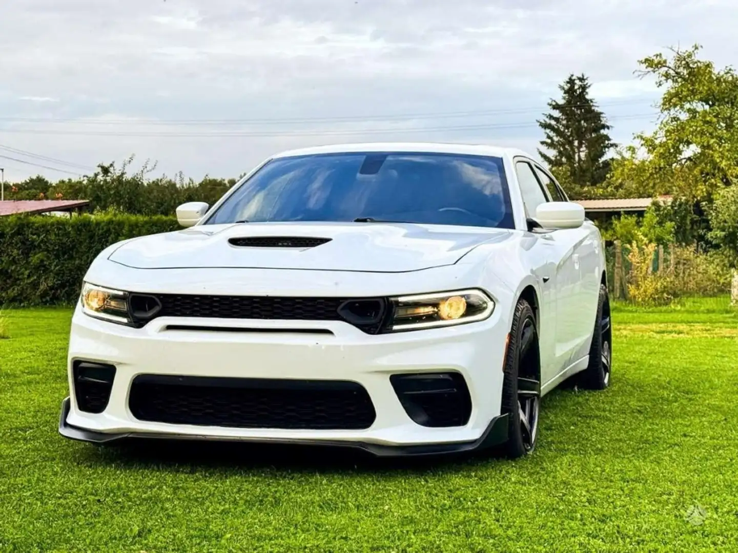Dodge Charger SXT 3.6 V6 Blanco - 1