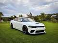 Dodge Charger SXT 3.6 V6 Blanco - thumbnail 8