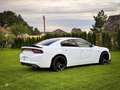 Dodge Charger SXT 3.6 V6 Blanco - thumbnail 9