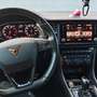 CUPRA Ateca Ateca 2,0 TSI 4Drive DSG Rot - thumbnail 20