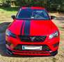 CUPRA Ateca Ateca 2,0 TSI 4Drive DSG Rot - thumbnail 11