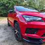 CUPRA Ateca Ateca 2,0 TSI 4Drive DSG Rot - thumbnail 10