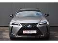 Lexus UX 250h 2.0HSD BLACK LINE Gris - thumbnail 3