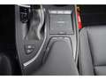 Lexus UX 250h 2.0HSD BLACK LINE Grijs - thumbnail 21