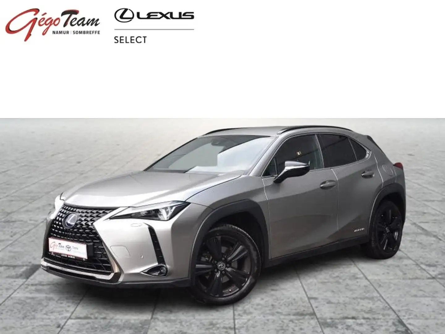 Lexus UX 250h 2.0HSD BLACK LINE Grijs - 1