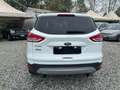 Ford Kuga Kuga 2013 2.0 tdci Titanium 4wd 163cv powershift Bianco - thumbnail 6