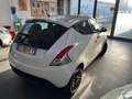 Lancia Ypsilon Ypsilon III  1.2 8v Silver c/clima 69cv Bianco - thumbnail 5